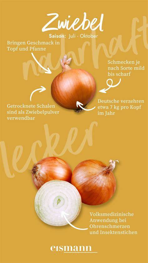 Zwiebel Tradition Verwendung Medizin