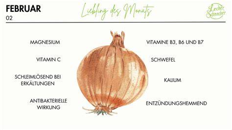 Zwiebel und ihre Wirkstoffe