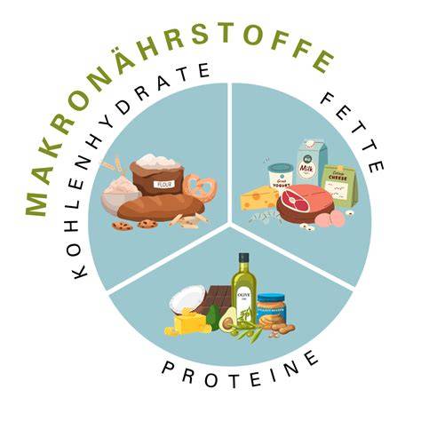 aufnahme von erdnüssen und makronährstoffe