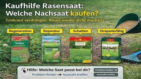 beispielhaftes düngeschema für rasen