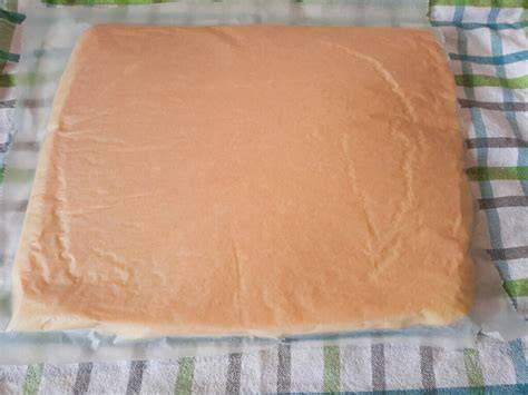 biskuit nach dem backen und abziehen des backpapiers