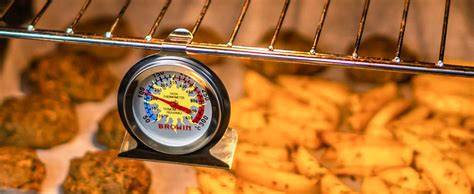 biskuit-im-ofen-thermometer