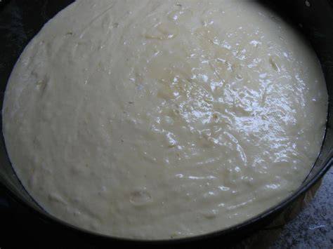biskuitteig wird vorsichtig in springform gefüllt, backofen vorgeheizt
