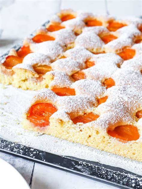 blechkuchen-marillen-topfen-streusel-nahe