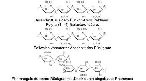 chemische Formel und Herstellungsprozess von Pektin