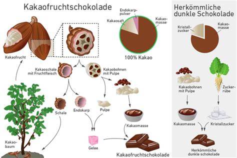 dunkle Schokolade und Kakaobohnen Infografik