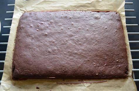 dunkler Schokoladenbiskuit auf Backblech