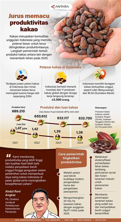 epicatechin-kakao-infografik