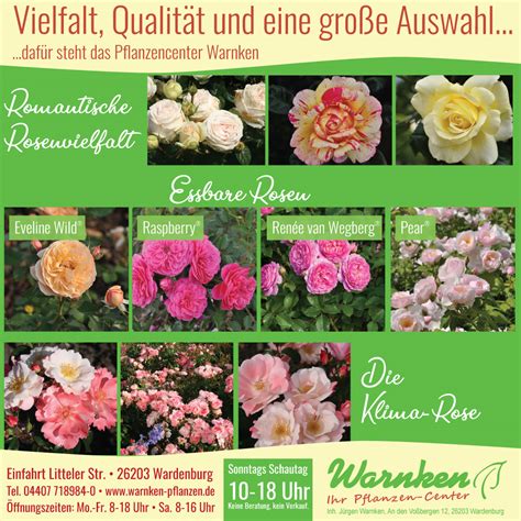 essbare Rosensorten und Marmelade