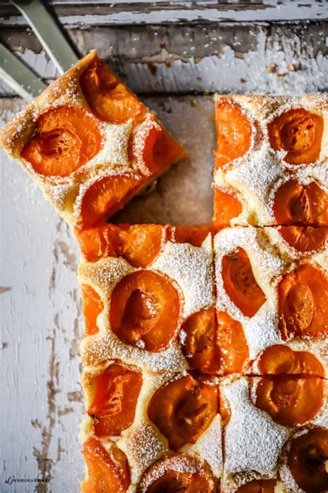 fertig gebackener Marillenkuchen auf Blech