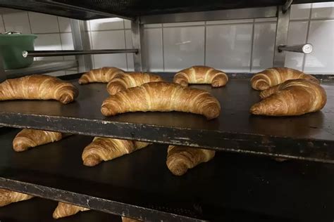 frische Croissants auf Backblech