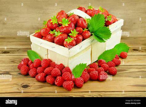 frische Erdbeeren und Holunderblütendolden