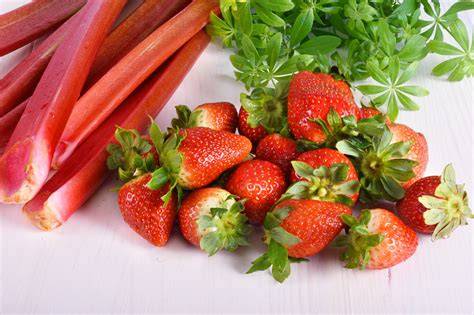 frische Erdbeeren und Rhabarber nebeneinander