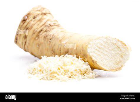 frische Meerrettichwurzel und geriebener Meerrettich