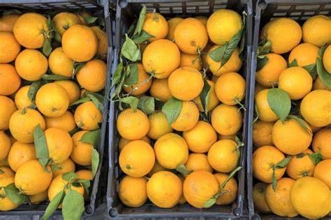 frische Orangen auf dem Markt