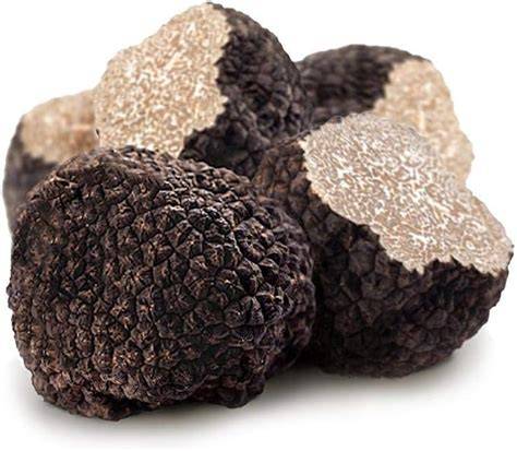 frische schwarze Trüffel auf Holzbrett