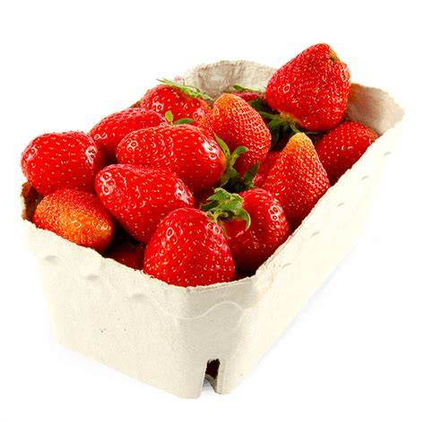 frische-erdbeeren-schale