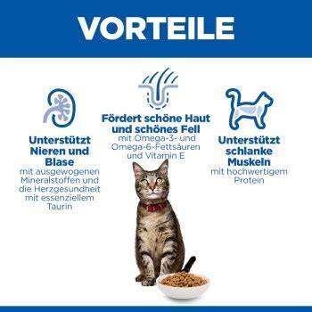 fuetterungstipps_katze_trockenfutter