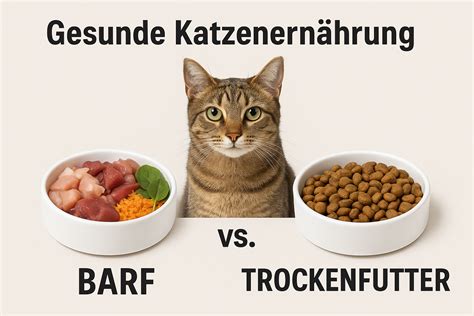 gesunde_katzenernährung_fleischanteil_infografik