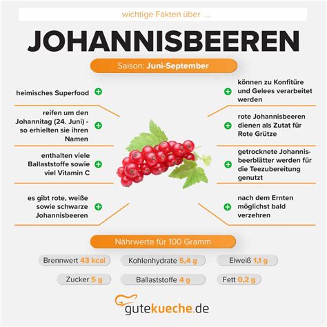 gesundheitliche Vorteile schwarze Johannisbeere Infografik