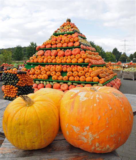 herbstliche Kürbisse und Zutaten für Kuchen