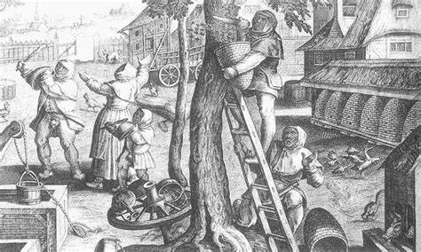 historische Honigernte