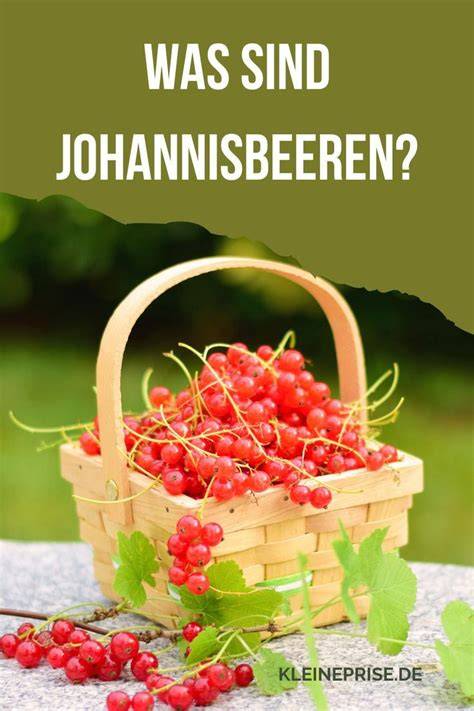 historische Verwendung von Johannisbeeren in Europa