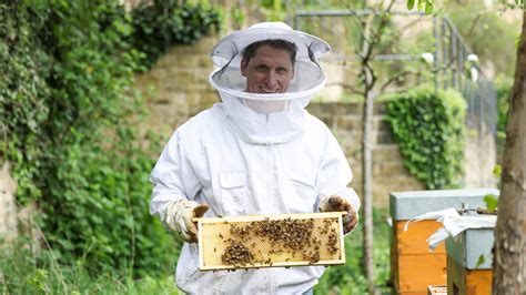 imker bringt bienenstöcke zu rapsfeldern