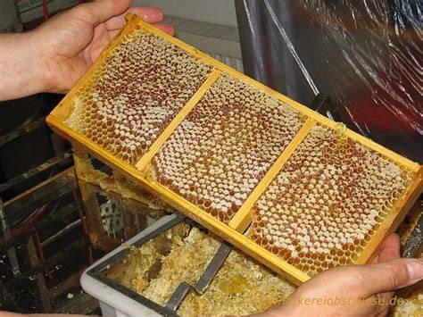 imkerei wabenhonig produktion