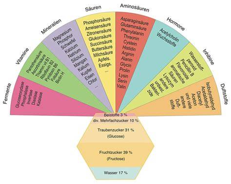infografik Inhaltsstoffe Topfen und Honig