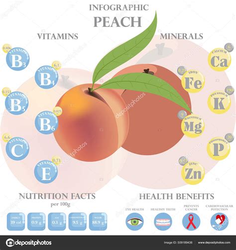 infografik pfirsich gesundheit