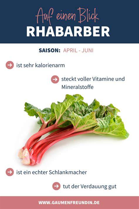 infografik rhabarber saison gesundheit und tipps