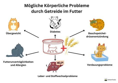 katze_getreide_zucker_unvertraeglichkeit_grafik