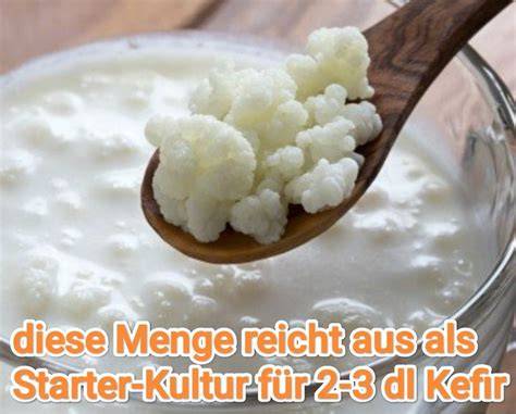 kefir-kefirknollen-kultur