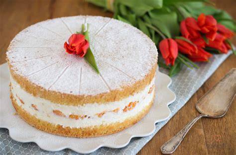 klassische käse-sahne-torte, biskuit und quark-sahne-creme, schritt-für-schritt infografik