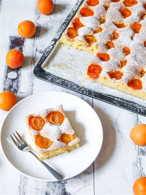 marillen-topfenkuchen-oelteig-blech-anschnitt
