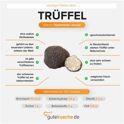 molekulare Aromastoffe Trüffel