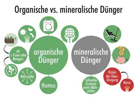 organische und mineralische dünger im vergleich