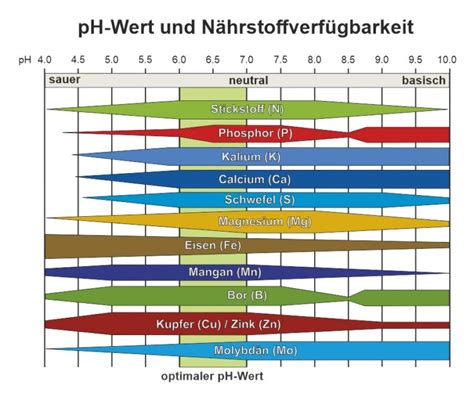 pH-Wert verschiedener Lebensmittel, inklusive Honig