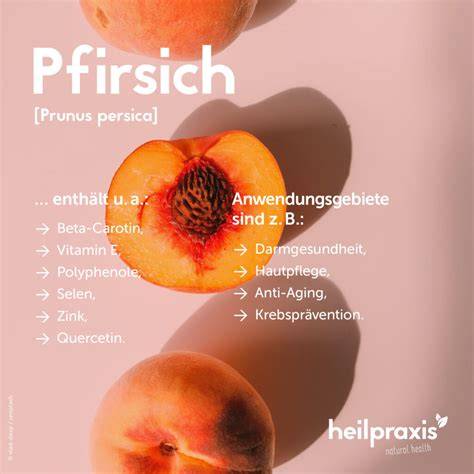 pfirsich medizinische wirkung