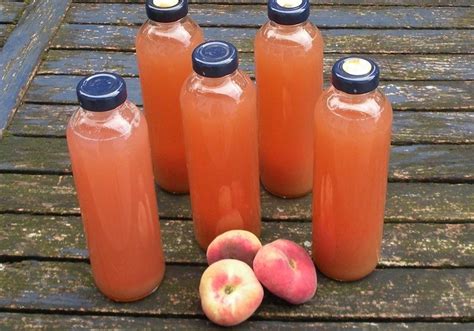 qualitätskontrolle pfirsichsaft