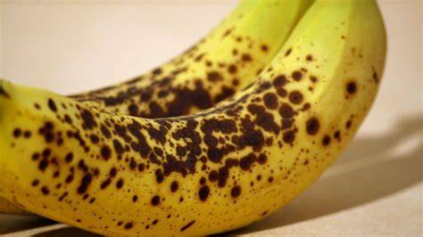 reife Bananen mit braunen Punkten