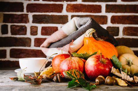 rhabarber-erntekalender und erkenntnis reife stangen