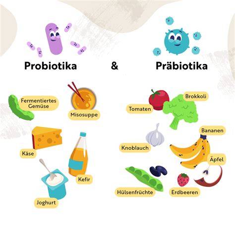 schematische Darstellung Darm-Mikrobiom und Probiotika