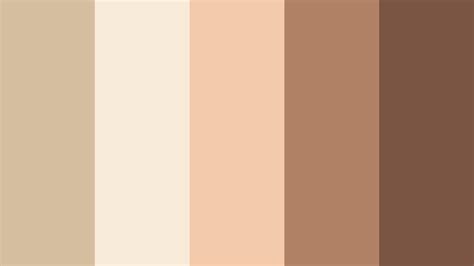 schoko fawn farbpalette und charakteristische merkmale