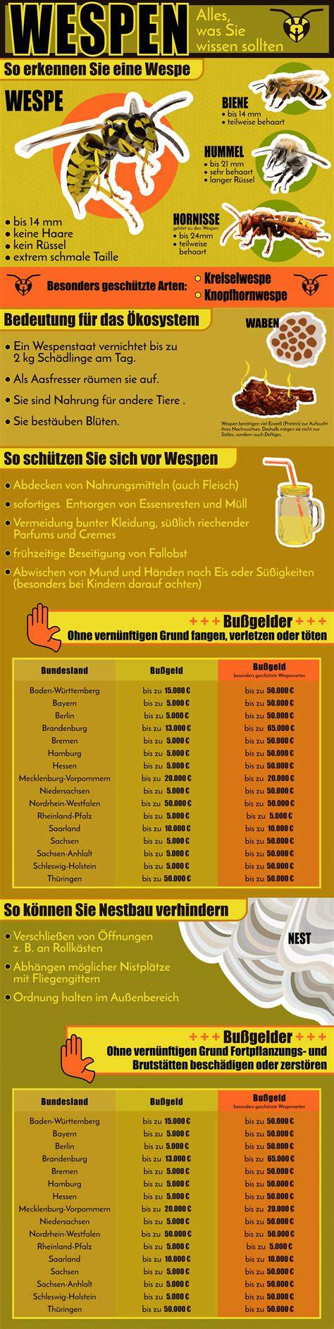 schutz von wespen unter naturschutzgesetz