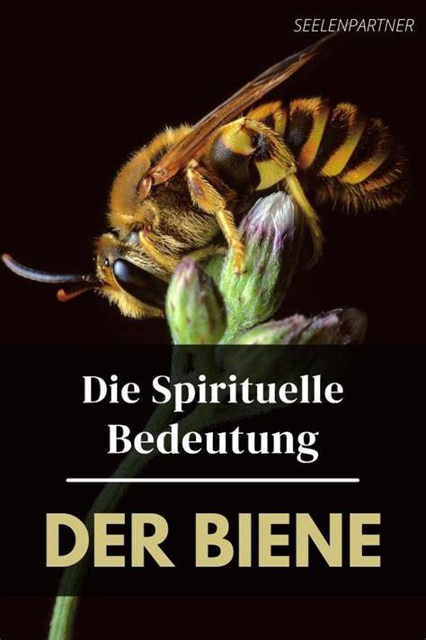 spirituelle bedeutung honig in rituals
