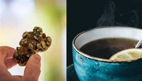 thee zetten van magische truffels