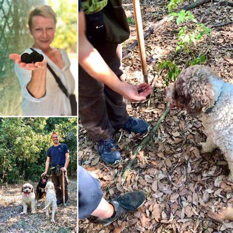 trüffelsuche mit hunden