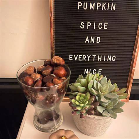 vegan_decorations.jpg